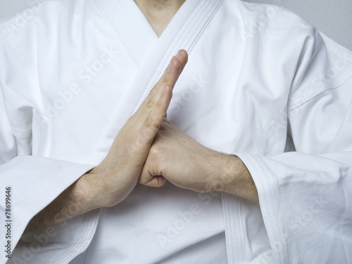 Karate Kampfsport Handfläche Faust Kraft Gruß