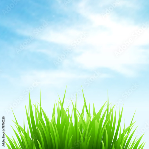 Clean spring amazing scenery. Vector illustration