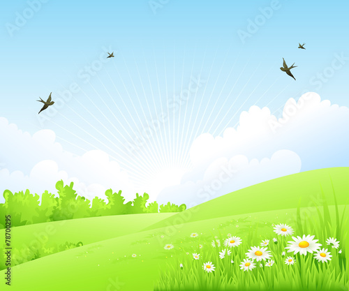 Clean spring amazing scenery. Vector illustration