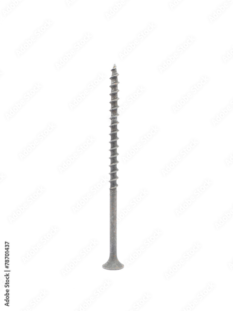 screw on a white background screw on a white background