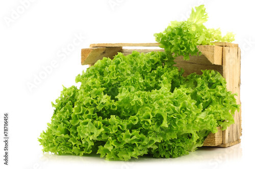 freshly harvested Lollo Bionda lettuce in a wooden crate photo