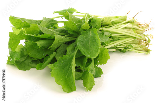 fresh turnip tops (turnip greens) on a white background