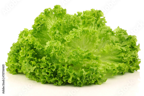 freshly harvested Lollo Bionda lettuce on a white background