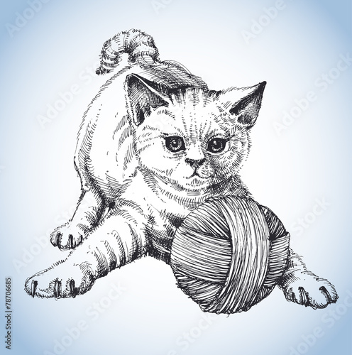 A cute cat playing with a ball of wool