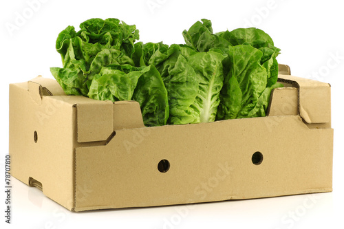 "little gem" lettuce in a cardboard box on a  white background