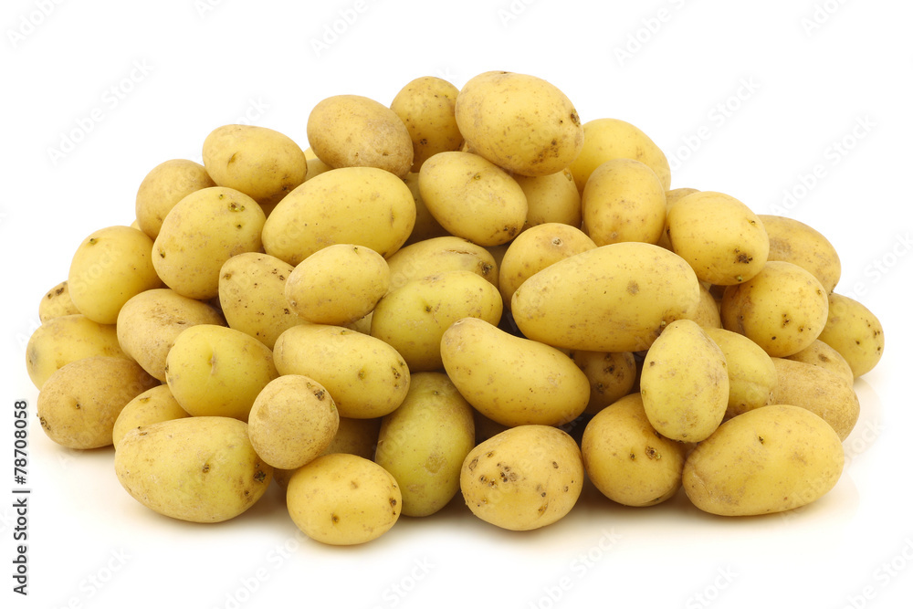bunch of dutch seed potatoes (krieltjes) on a white background bunch of dutch seed potatoes (krieltjes) on a white background