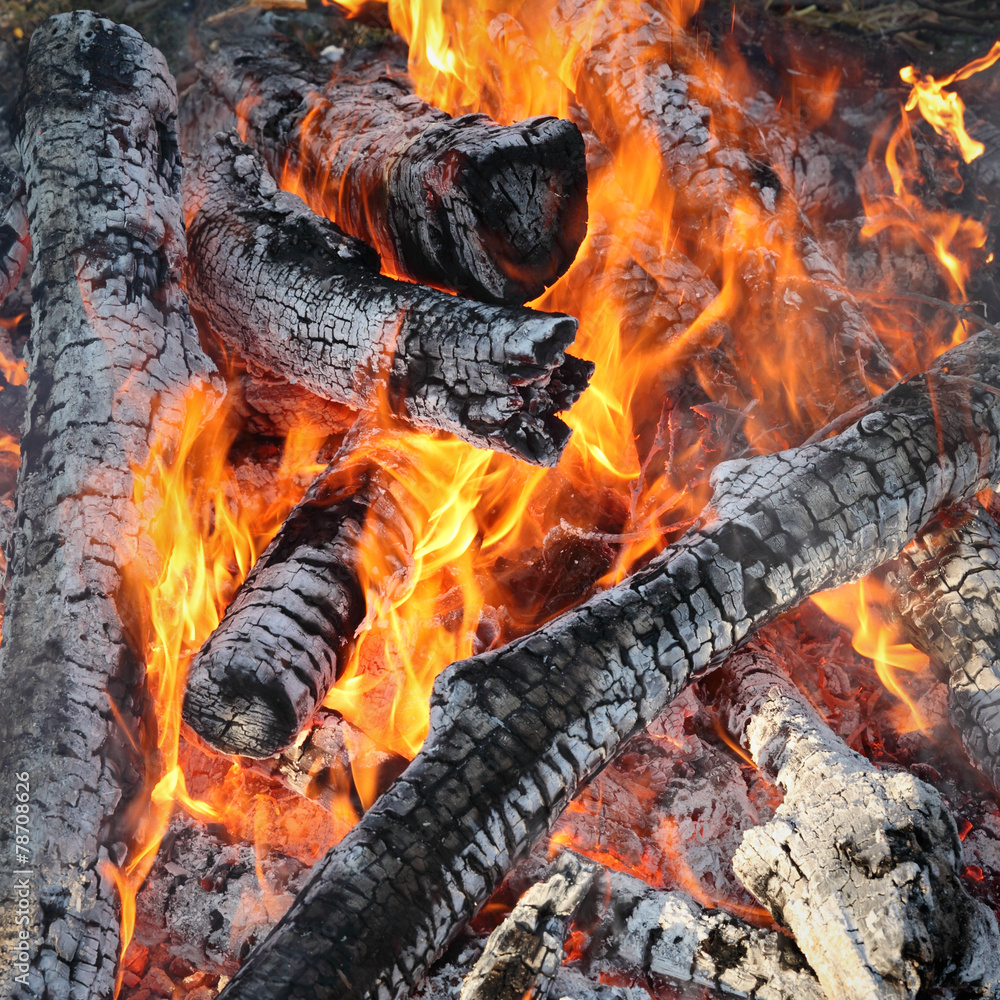 Fire, heap of wooden logs burning outdoor Fire, heap of wooden logs burning outdoor