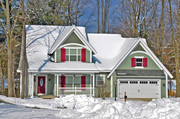 New house in winter woods