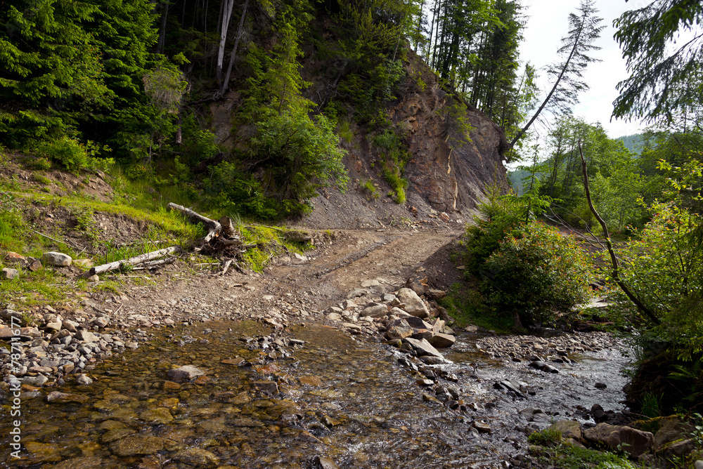 The mountain river in the Carpathians, Ukraine