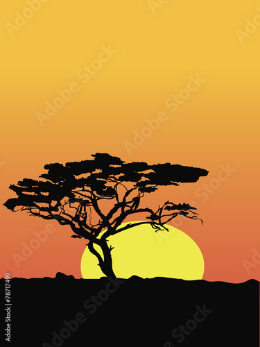 Tree silhouette on sunset