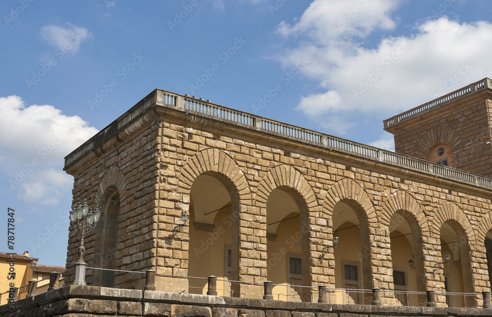 Pitti palace in Florence