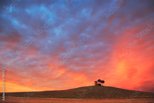 Tuscany  Maremma red sunset landscape. Rural tower and tree on h