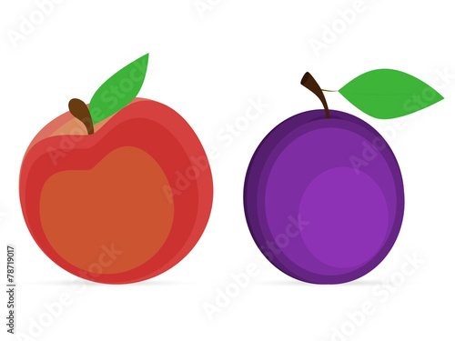 plum and peach on a white background