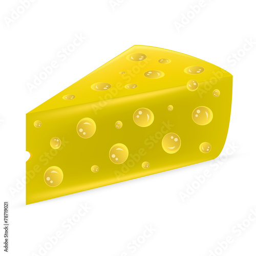 cheese on a white background