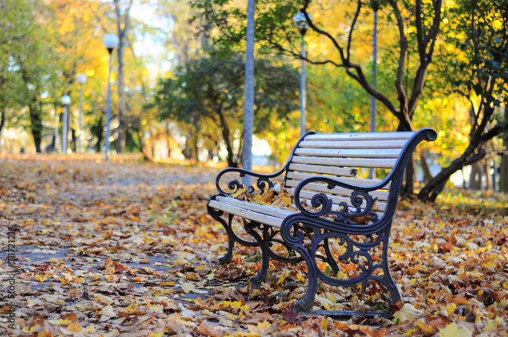 Golden light, bench in a park at fall