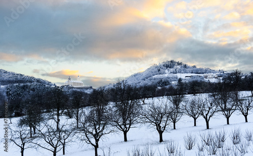 Winter auf Burg Forchtenstein photo