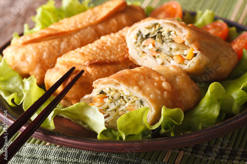 fried spring rolls stuffed with vegetables close-up. Horizontal
