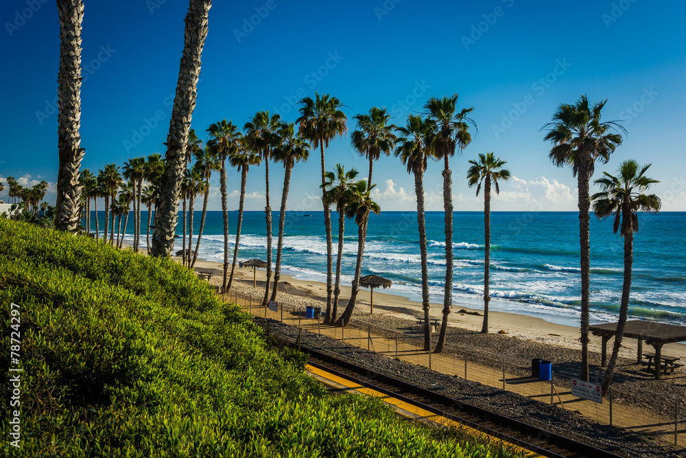 View of railroad tracks and palm trees along the beach in San Cl
