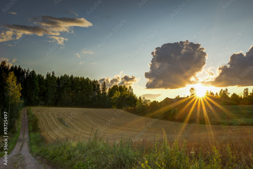 Fototapeta premium Fall sunset