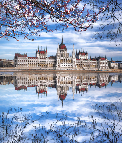  Parliament during spring time in Budapest, Hungary