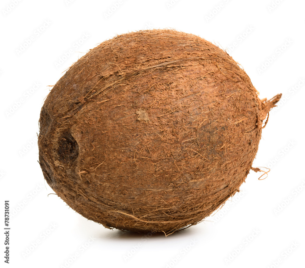 Coconut Coconut