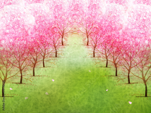 桜　花　背景