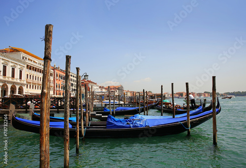 Gondolas moored. Venice, Italy © Guzel Studio
