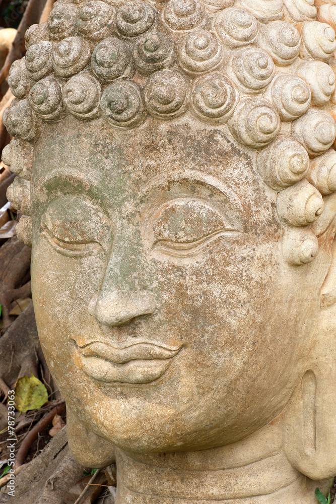 Ancient Head Buddha statue in Chiang Mai Ancient Head Buddha statue in Chiang Mai