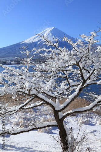 富士山と雪景色