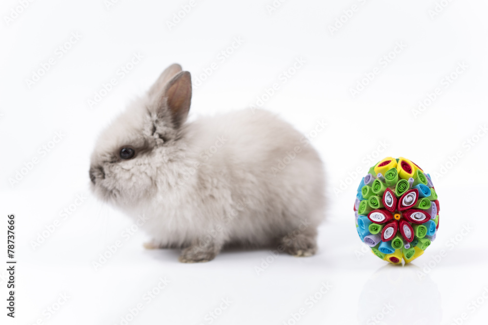 Obraz premium Easter bunny in basket and Easter eggs on white background 