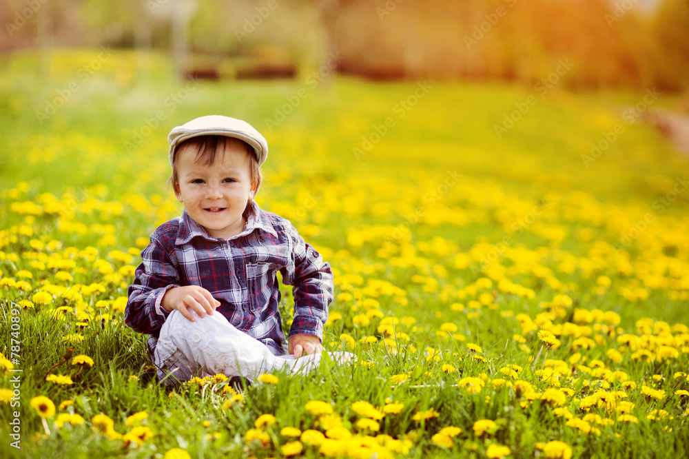 Portrait of a little boy in a dandelion field Portrait of a little boy in a dandelion field