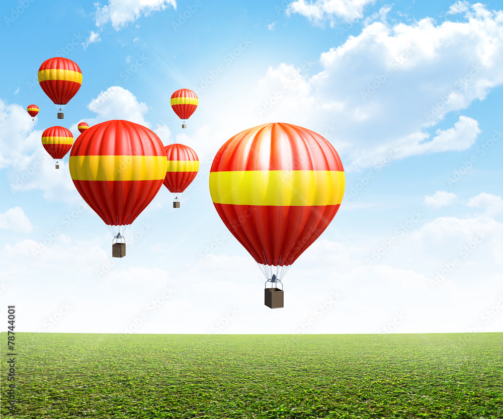 Naklejka premium Hot Air Balloons On Green Grass
