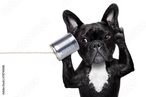 dog phone telpehone © Javier brosch