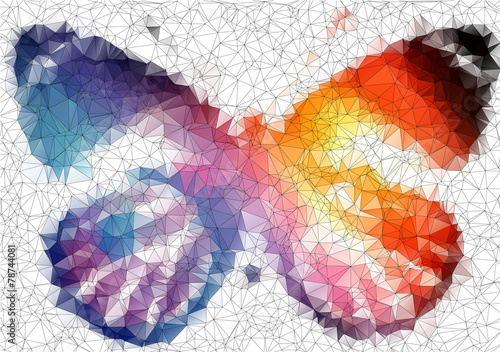 multicolor bright butterfly abstract geometric background