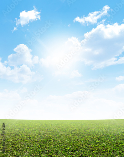 Plain Grass And Blue Sky