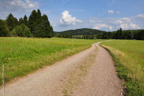 Wanderweg am Knüllfeld / Thüringer Wald