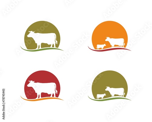 cow farm