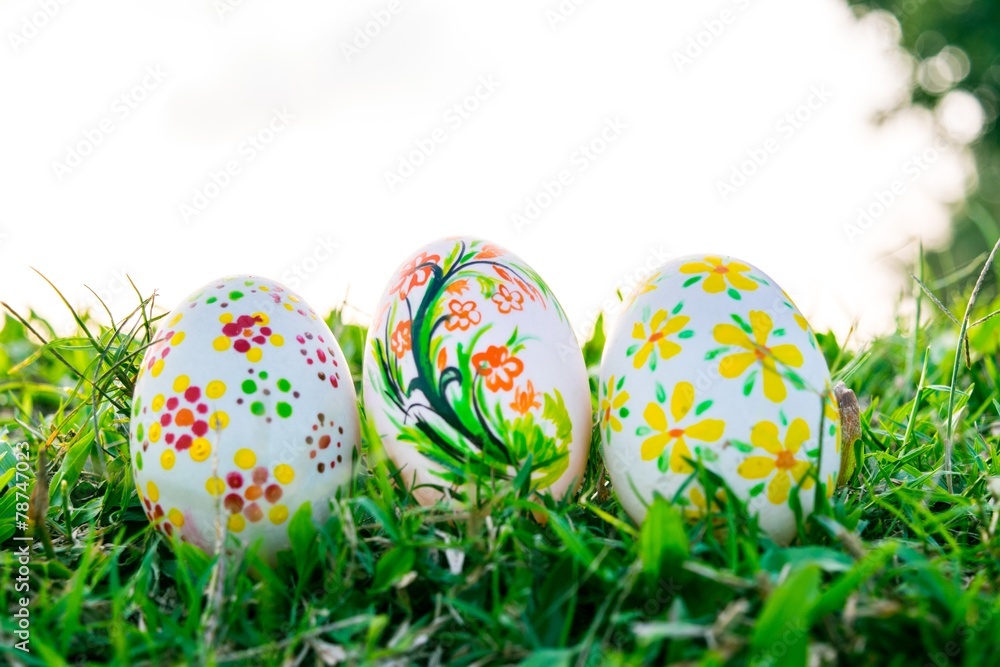 Row of Easter Eggs with Daisy on Fresh Green Grass Row of Easter Eggs with Daisy on Fresh Green Grass