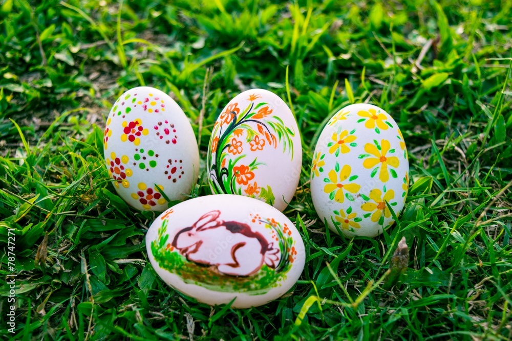 Colorful Easter eggs in a field of grass Colorful Easter eggs in a field of grass
