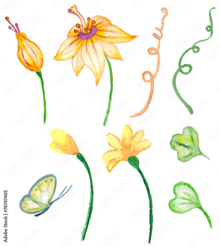 Fototapeta premium Watercolor floral elements for design