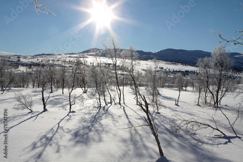 Hovden im Winter, Norwegisches Wintersportgebiet photo