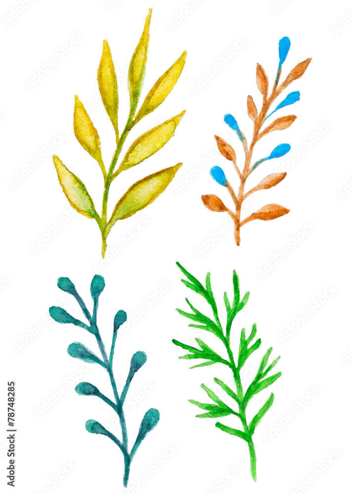 Naklejka premium Watercolor floral elements