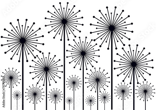 black and white dandelions illustration
