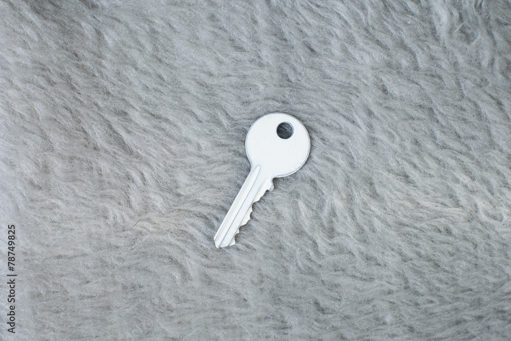 White surrealistic key with different textures: synthetic fur White surrealistic key with different textures: synthetic fur