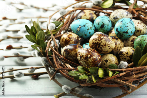 Bird eggs in nest on color wooden background