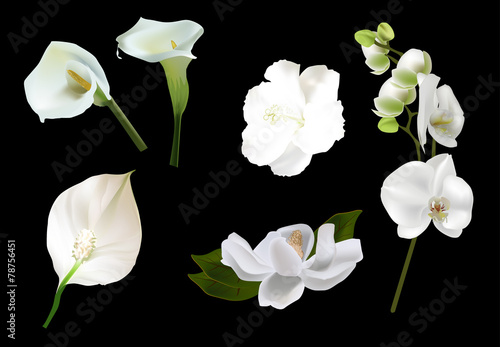 Fototapeta Naklejka Na Ścianę i Meble -  six white isolated on black flowers