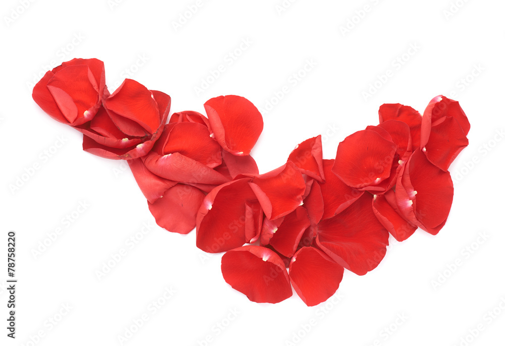 Red rose petals composition Red rose petals composition
