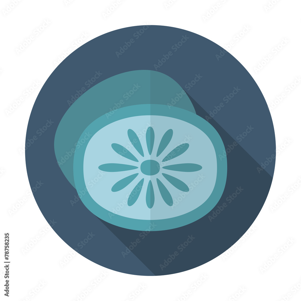 Kiwi flat icon with long shadow Kiwi flat icon with long shadow