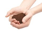Two hands holding a handful of ground soil
