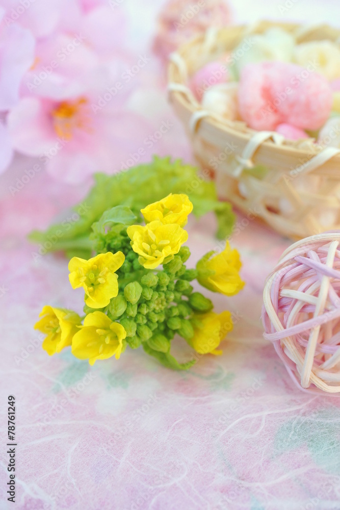 菜の花 菜の花
